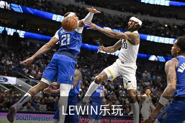 LEWIN乐玩 公司简介